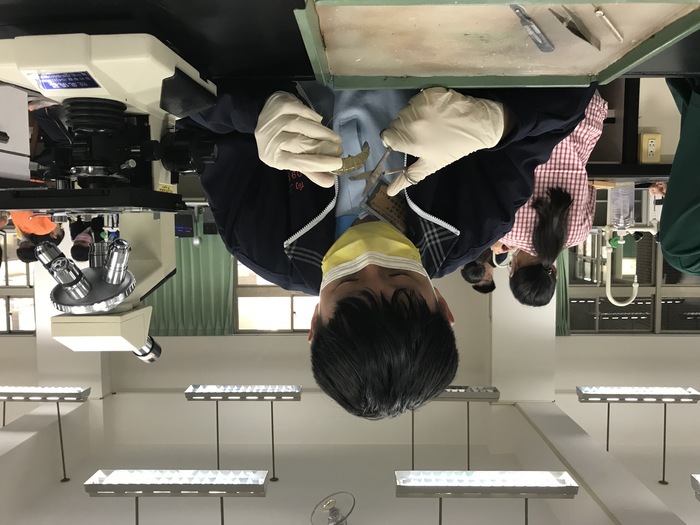 20211207興大附中資優學生FUN科學